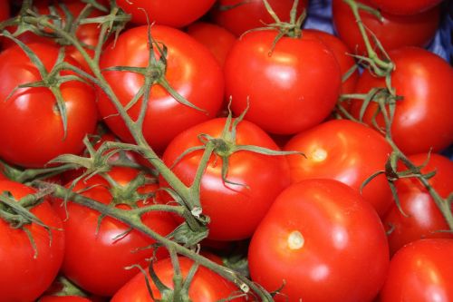 Pomidorai, Daržovės, Datailaufnahme