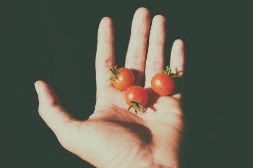 Pomidorai, Mažas, Ranka, Vaisiai, Maistas, Šešėlis
