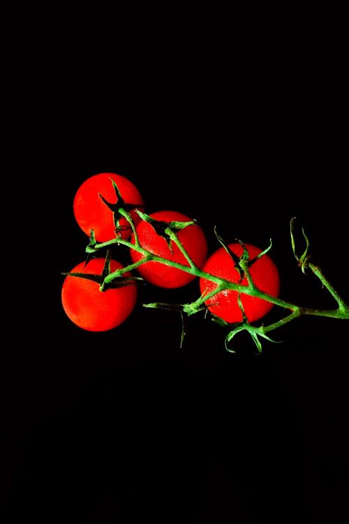 Pomidorai, Raudona, Daržovės, Frisch, Derlius