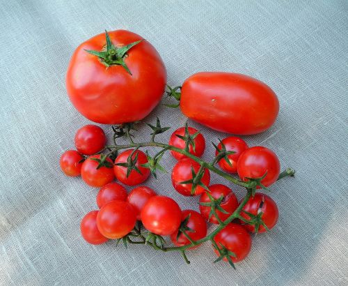 Pomidorai, Daržovės, Raudona, Augalas, Sveikas, Maistas