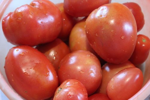 Pomidorai, Raudona