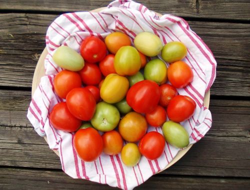 Pomidorai, Ruduo, Valgyti, Viduržemio Jūros, Raudona, Naudos Iš
