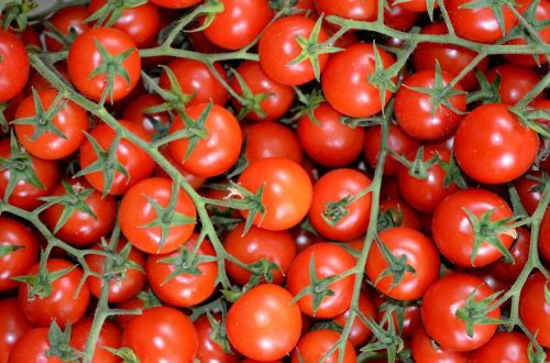 Pomidorai, Daržovės, Raudona, Salento