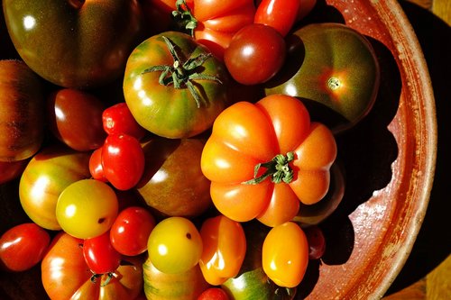 Pomidorai,  Pomidorų,  Retų Veislių,  Vaisių,  Maisto,  Augti,  Daržovės