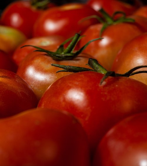 Pomidorai,  Daržovės,  Raudona,  Maisto,  Sveiki,  Derlius,  Organinis