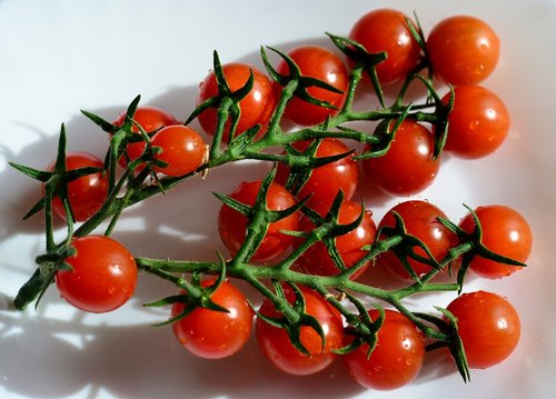 Pomidorai,  Šluotelės,  Raudona,  Sveiki,  Šviežias,  Santvaros