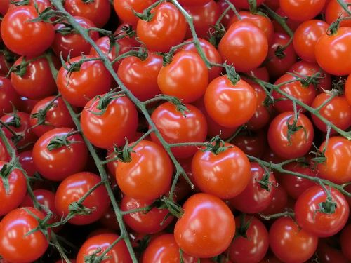 Pomidorai, Daržovės, Raudona, Maistas, Valgyti, Krūmo Pomidoras