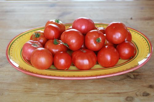 Pomidorai, Plokštelė, Sodas, Daržovės, Raudona, Turgus, Šviežumas, Vegetariškas, Derlius, Sodininkystė
