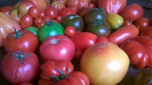 Pomidorai, Daržovės, Maistas, Mityba, Žalias Maistas