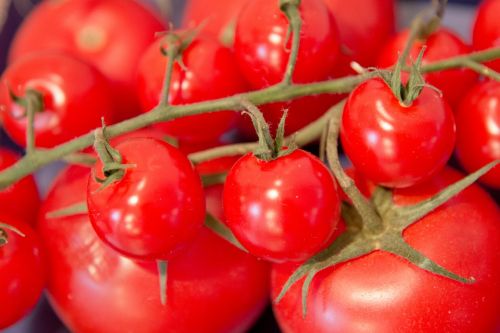 Pomidorai, Daržovės, Maistas, Raudona, Frisch, Valgyti, Makro, Krūmo Pomidoras, Mityba, Solanum Lycopersicum, Tomatenrispe