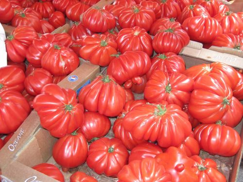 Pomidorai, Daržovės, Turgus, Viduržemio Jūros