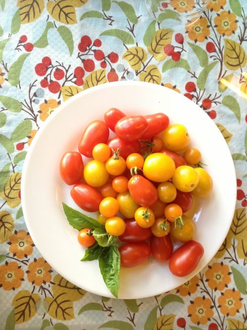 Pomidorai, Vyšnių Pomidorai, Šviežias, Vyšnia, Maistas, Pomidoras, Sveikas, Daržovių, Vegetariškas, Ekologiškas, Bazilikas