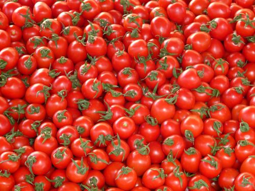 Pomidorai, Daržovės, Raudona, Skanus, Turgus, Stovėti, Maistas, Solanum Lycopersicum