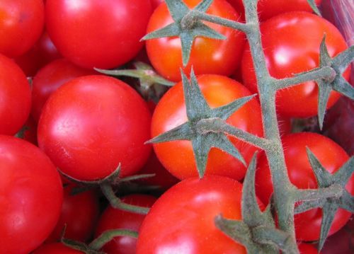 Pomidorai, Raudona, Daržovės, Vegetariškas, Žaliavinis, Mityba, Krūva, Prinokę