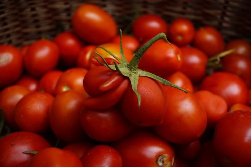 Pomidorai, Raudona, Specialus, Forma, Pasėlių, Maistas, Daržovės