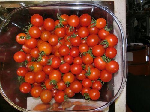 Pomidorai, Daržovės, Salotos, Vitaminai, Sveikas, Valgyti, Raudona, Bio, Žinoma, Vyšniniai Pomidorai