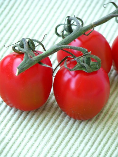 Pomidorai, Raudona, Vegetariškas