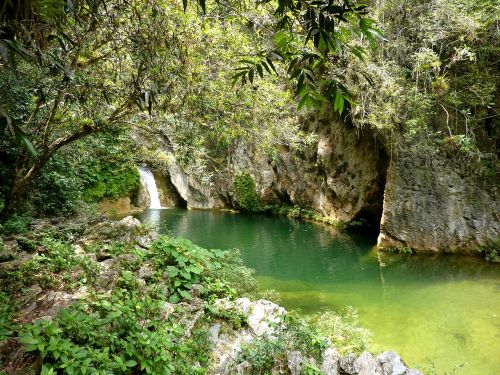 Topes De Collantes, Kuba, Karibai, Gamta, Miškas, Žalias, Šventė, Ežeras, Krioklys
