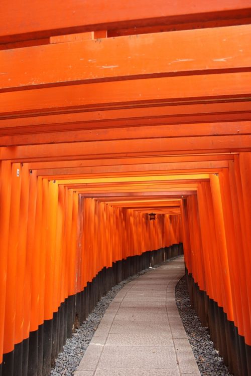 Torii Vartai, Oranžinė, Šventykla, Įėjimas, Mediena, Shinto, Kyoto, Japonija