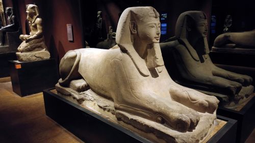 Torino, Egipto Muziejus, Egipto Statulos, Senovė, Piemonte, Sfinksas, Skulptūra