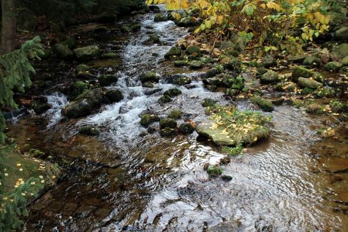 Torrent, Kalnai, Akmenys, Kraštovaizdis, Gamta, Vanduo