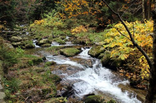 Torrent, Kalnai, Srautas, Kraštovaizdis, Gamta, Triukšmas, Vanduo