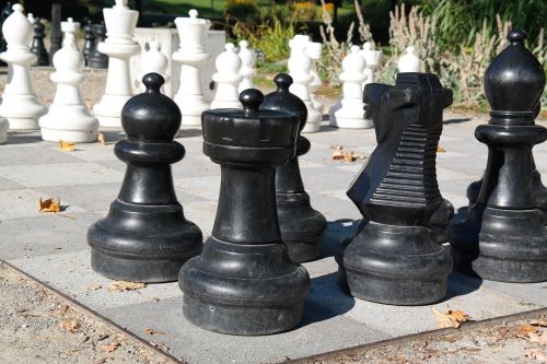Bokštas, Springeris, Juoda, Šachmatai, Šachmatų Lenta, Šachmatų Figūros, Balta, Šachmatų Žaidimas, Žaisti, Skaičiai, Lady, Karalius, Bėgikai, Ūkininkai, Žaidimo Laukai