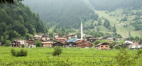 Trabzonas, Uzungol, Doga, Kraštovaizdis