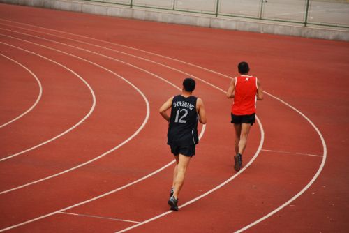 Bėgikas,  Bėgikai,  Jog,  Paleisti,  Praktika,  Sportas,  Trasa,  Laukas,  Sekti Praktiką