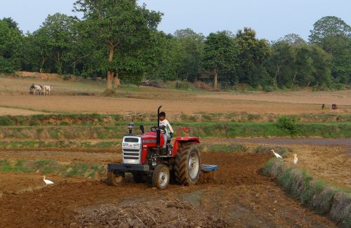 Traktorius, Rutulys, Tilling, Įranga, Žemdirbystė, Karnataka, Indija