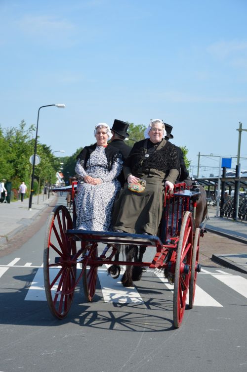 Tradicija,  Holland,  Apranga,  Kostiumas,  Padažas,  Suknelė,  Vežimėliai,  Olandų,  Rodyti,  Arkliai,  Treneris,  Transporto Priemonė,  Vežimėlis,  Tradiciniai Vežimai