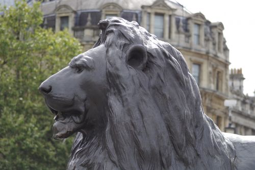 Trafalgaro Aikštė, Liūtas, Statula, Londonas, Anglija