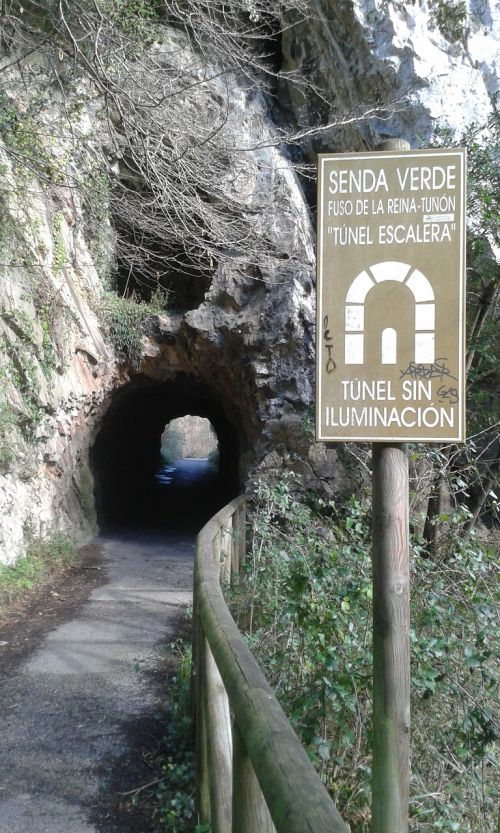 Takas, Kelias, Tunelis, Gamta, Kraštovaizdis, Medžiai, Kaimas, Vaikščioti, Turizmas, Asturias, Žalia Kelias