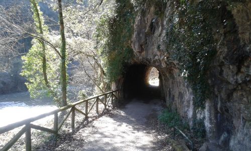 Takas, Kelias, Tunelis, Gamta, Augmenija, Kaimas, Kraštovaizdis, Kalnas, Vaikščioti, Asturias