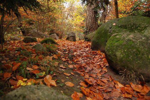 Takas, Ruduo, Rudens Lapai