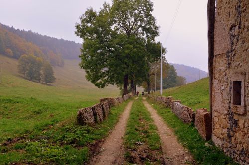 Takas, Per, Medžiai, Kalnas, Kelias, Europinis Kelias, E5, Lessinia, Italy