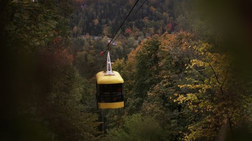 Traukinys, Oras, Zipline, Latvia, Lapai, Ruduo, Medžiai, Miškas