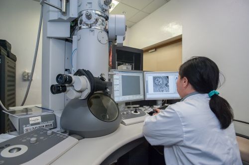 Perdavimo Elektroninis Mikroskopas, Universiti Malaysia Sabah, Biotechnologijų Tyrimų Institutas