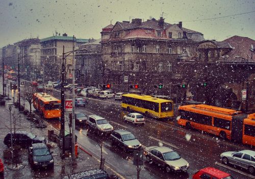 Transportas, Kelias, Autobusai