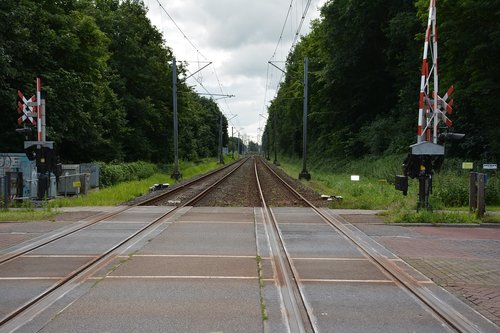 Transportas,  Keliauti,  Kelių,  Lauko,  Veenendaal,  Traukinys,  Track Medžiai