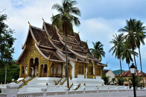Kelionė, Architektūra, Laosas, Šventykla, Luang Prabang, Delnas, Turizmas, Medis