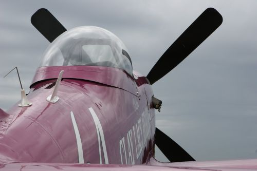 Kelionė,  Lauke,  P-51 Mustangas,  Lėktuvas,  Be Honoraro Mokesčio