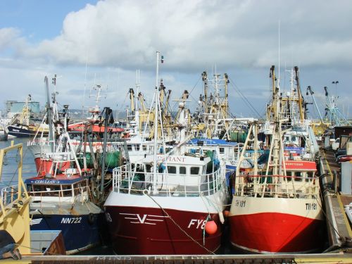 Traleris, Brixham, Devon, Žvejyba, Industrija, Laivai, Krantinė, Uostas, Torbay