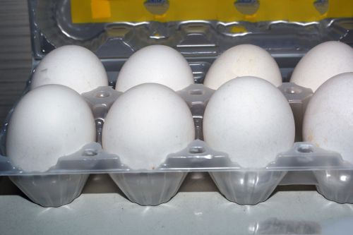Kiaušiniai,  Dėklas,  Maistas,  Baltymas,  Apvalus,  Pailgos,  Ratas,  Balta,  Kiaušinis & Nbsp,  Lukštas,  Kiaušinių Dėklas