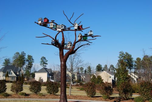 Birdhouses, Paukščių Namai, Plieno Medis, Skulptūra, Šiaurės Karolina