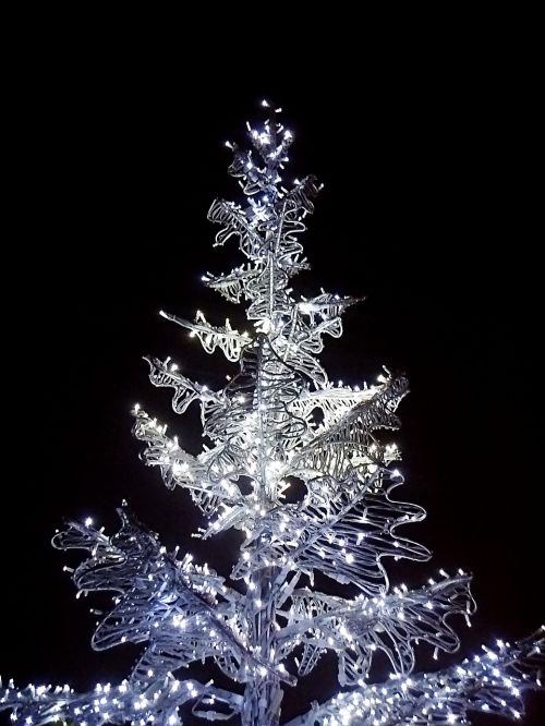 Medis, Kalėdų Eglutė, Elektrinė Kalėdinė Eglutė, Juoda, Kalėdos, Apšvietimas