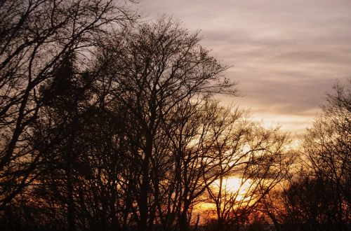 Medis, Abendstimmung, Dangus