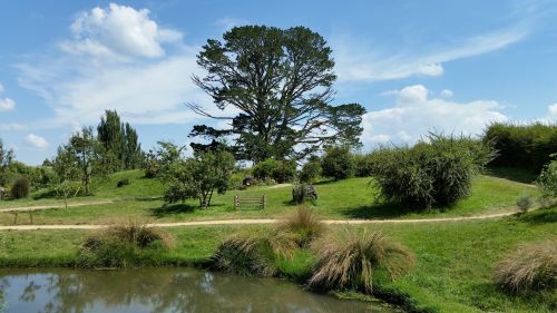 Medis, Kraštovaizdis, Hobitonas, Naujoji Zelandija