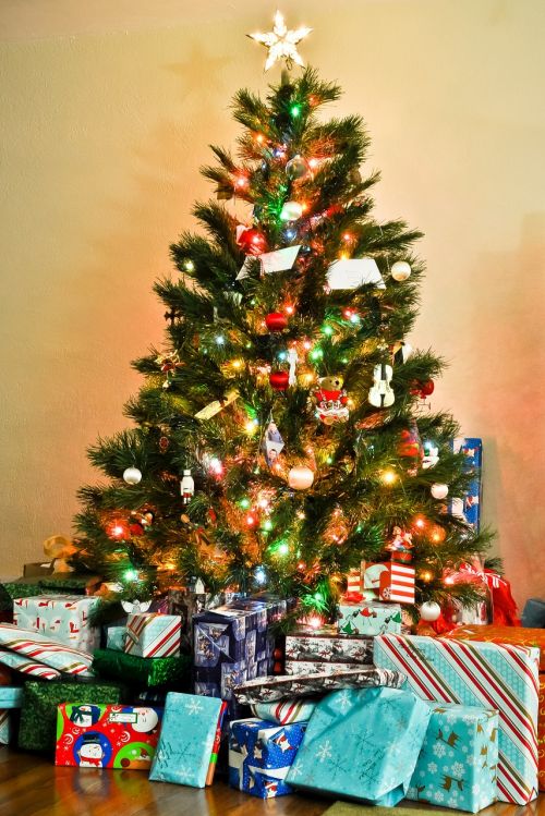 Medis, Kalėdos, Kalėdų Eglutė, Dovanos