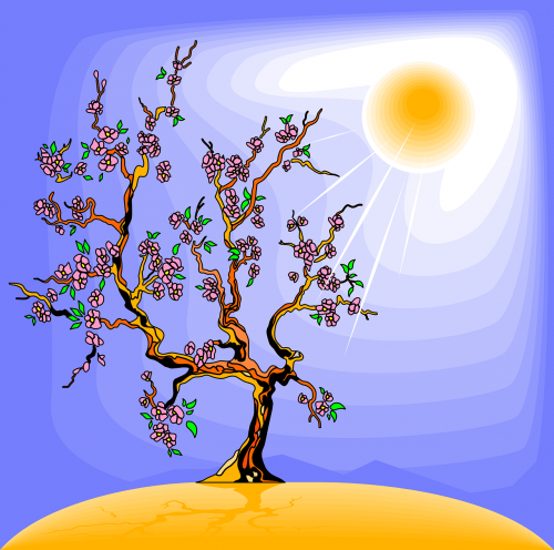 Medis, Saulės Šviesa, Saulė, Fotosintezė, Gamta, Augalas, Vasara, Nemokama Vektorinė Grafika